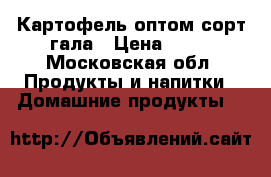 Картофель оптом сорт гала › Цена ­ 18 - Московская обл. Продукты и напитки » Домашние продукты   